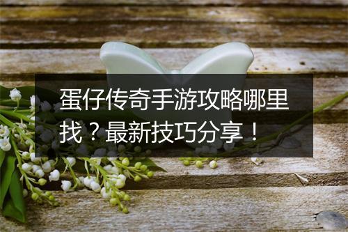 蛋仔传奇手游攻略哪里找？最新技巧分享！