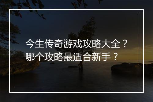 今生传奇游戏攻略大全？哪个攻略最适合新手？