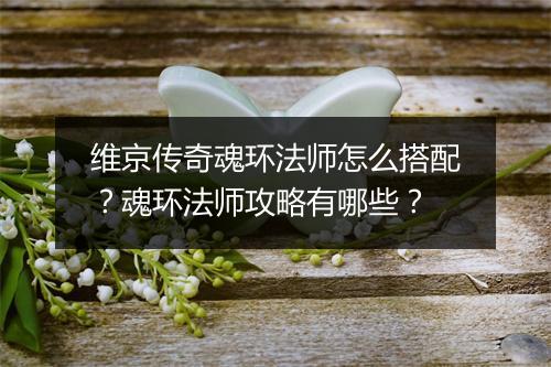 维京传奇魂环法师怎么搭配？魂环法师攻略有哪些？