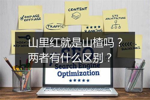 山里红就是山楂吗？两者有什么区别？