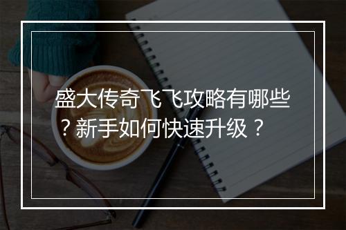 盛大传奇飞飞攻略有哪些？新手如何快速升级？