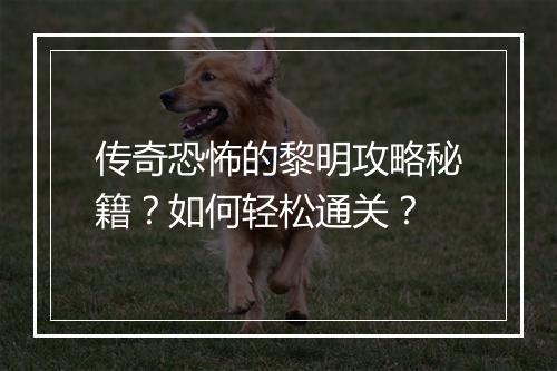 传奇恐怖的黎明攻略秘籍？如何轻松通关？