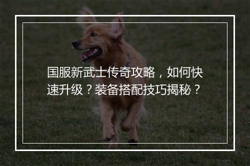国服新武士传奇攻略，如何快速升级？装备搭配技巧揭秘？