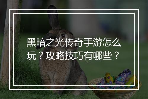 黑暗之光传奇手游怎么玩？攻略技巧有哪些？