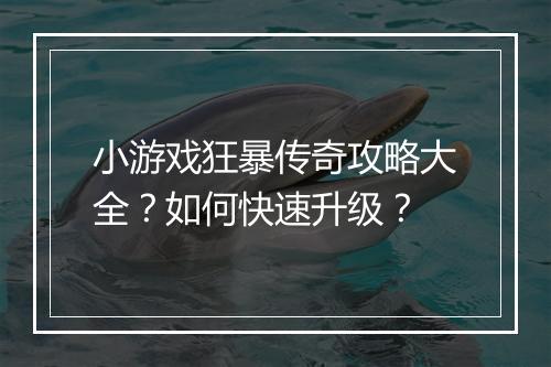 小游戏狂暴传奇攻略大全？如何快速升级？