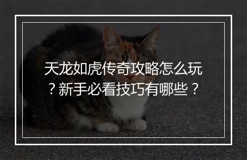 天龙如虎传奇攻略怎么玩？新手必看技巧有哪些？