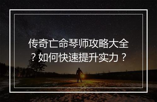 传奇亡命琴师攻略大全？如何快速提升实力？