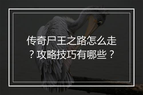 传奇尸王之路怎么走？攻略技巧有哪些？