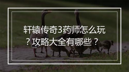 轩辕传奇3药师怎么玩？攻略大全有哪些？