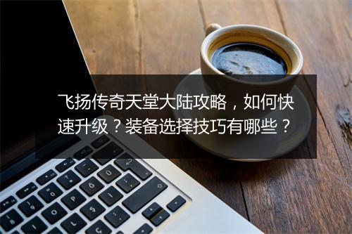 飞扬传奇天堂大陆攻略，如何快速升级？装备选择技巧有哪些？