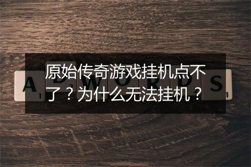原始传奇游戏挂机点不了？为什么无法挂机？