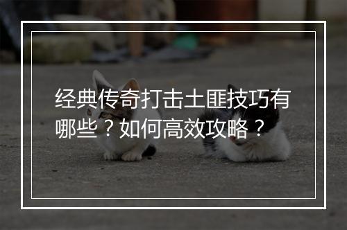 经典传奇打击土匪技巧有哪些？如何高效攻略？