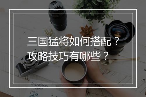 三国猛将如何搭配？攻略技巧有哪些？