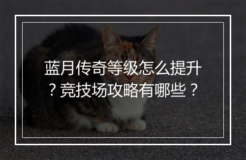 蓝月传奇等级怎么提升？竞技场攻略有哪些？