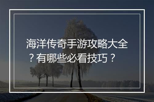 海洋传奇手游攻略大全？有哪些必看技巧？