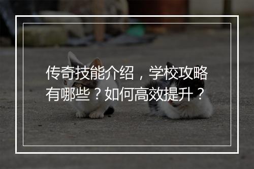传奇技能介绍，学校攻略有哪些？如何高效提升？