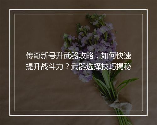 传奇新号升武器攻略，如何快速提升战斗力？武器选择技巧揭秘