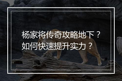 杨家将传奇攻略地下？如何快速提升实力？