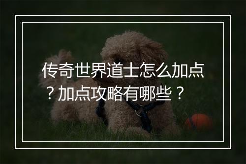 传奇世界道士怎么加点？加点攻略有哪些？