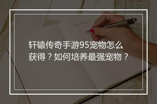 轩辕传奇手游95宠物怎么获得？如何培养最强宠物？