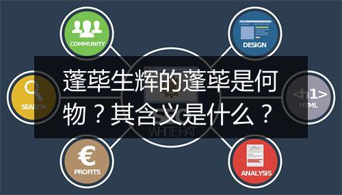 蓬荜生辉的蓬荜是何物？其含义是什么？