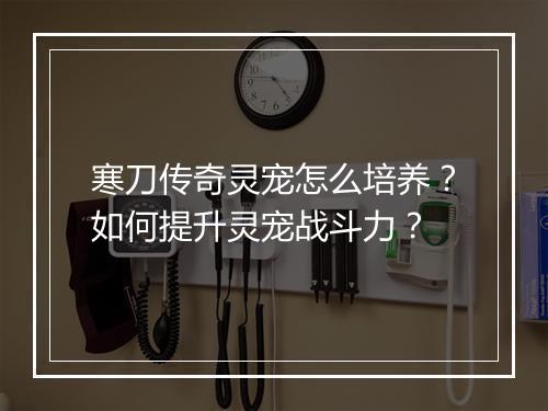 寒刀传奇灵宠怎么培养？如何提升灵宠战斗力？