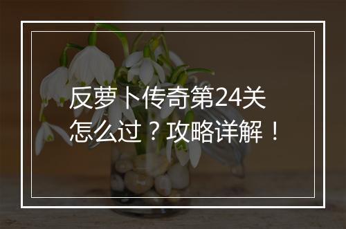 反萝卜传奇第24关怎么过？攻略详解！