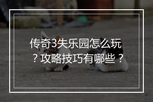 传奇3失乐园怎么玩？攻略技巧有哪些？