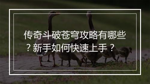 传奇斗破苍穹攻略有哪些？新手如何快速上手？