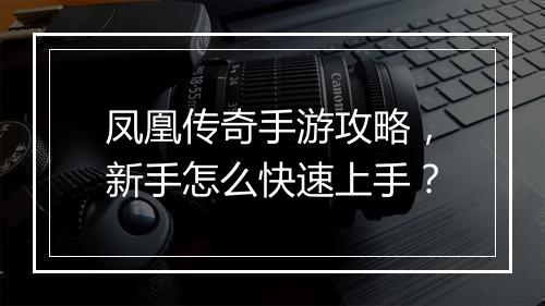 凤凰传奇手游攻略，新手怎么快速上手？