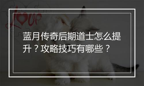 蓝月传奇后期道士怎么提升？攻略技巧有哪些？