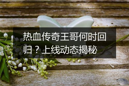 热血传奇王哥何时回归？上线动态揭秘