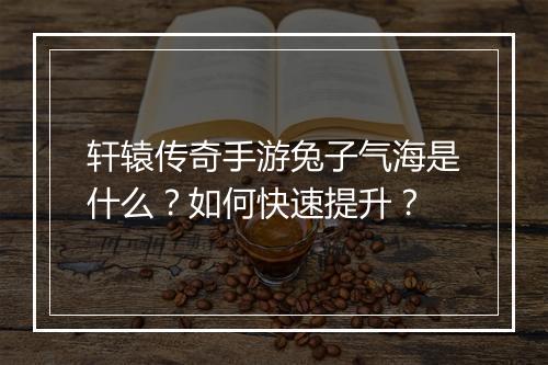 轩辕传奇手游兔子气海是什么？如何快速提升？