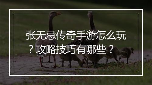 张无忌传奇手游怎么玩？攻略技巧有哪些？