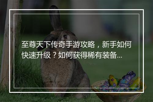 至尊天下传奇手游攻略，新手如何快速升级？如何获得稀有装备？