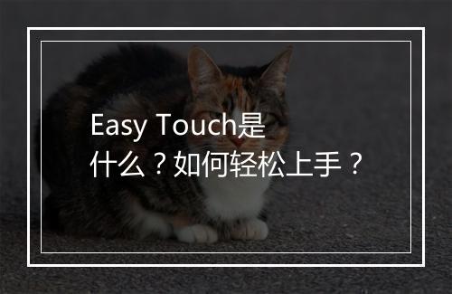 Easy Touch是什么？如何轻松上手？