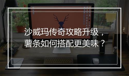 沙威玛传奇攻略升级，薯条如何搭配更美味？