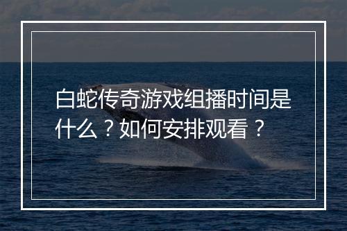 白蛇传奇游戏组播时间是什么？如何安排观看？