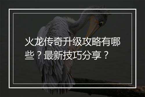 火龙传奇升级攻略有哪些？最新技巧分享？