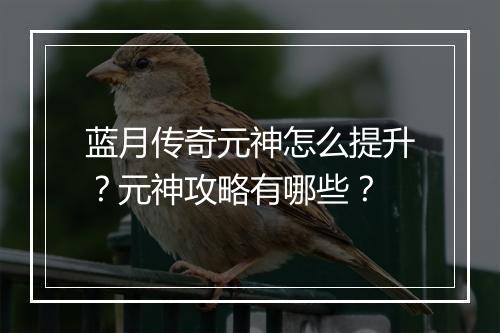 蓝月传奇元神怎么提升？元神攻略有哪些？