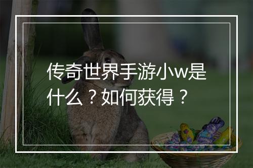 传奇世界手游小w是什么？如何获得？