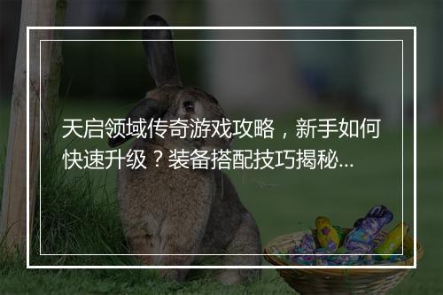 天启领域传奇游戏攻略，新手如何快速升级？装备搭配技巧揭秘？