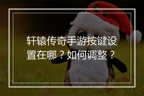 轩辕传奇手游按键设置在哪？如何调整？