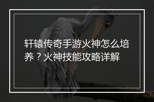 轩辕传奇手游火神怎么培养？火神技能攻略详解