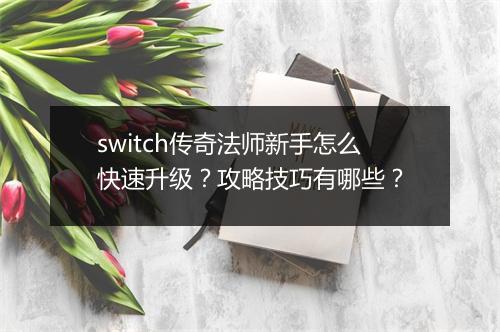 switch传奇法师新手怎么快速升级？攻略技巧有哪些？