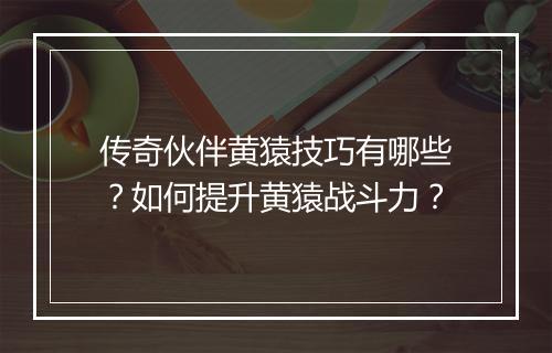 传奇伙伴黄猿技巧有哪些？如何提升黄猿战斗力？