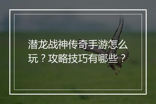 潜龙战神传奇手游怎么玩？攻略技巧有哪些？