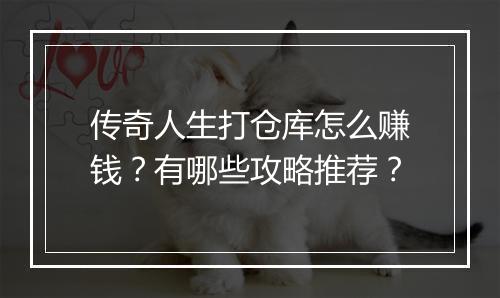传奇人生打仓库怎么赚钱？有哪些攻略推荐？