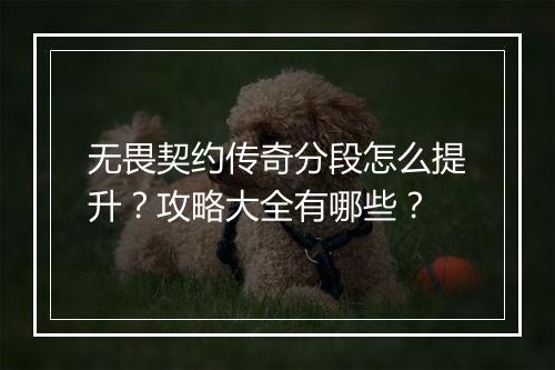 无畏契约传奇分段怎么提升？攻略大全有哪些？