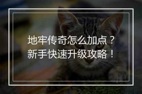 地牢传奇怎么加点？新手快速升级攻略！